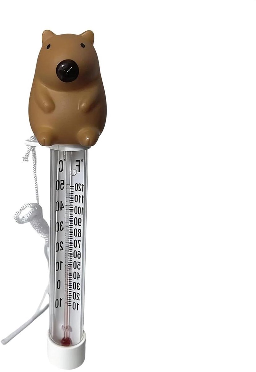 Zwembadthermometer - Waterthermometer Drijvend - Watertemperatuur Meten - Capibara Ontwerp - 22 Centimeter - Houtkleur