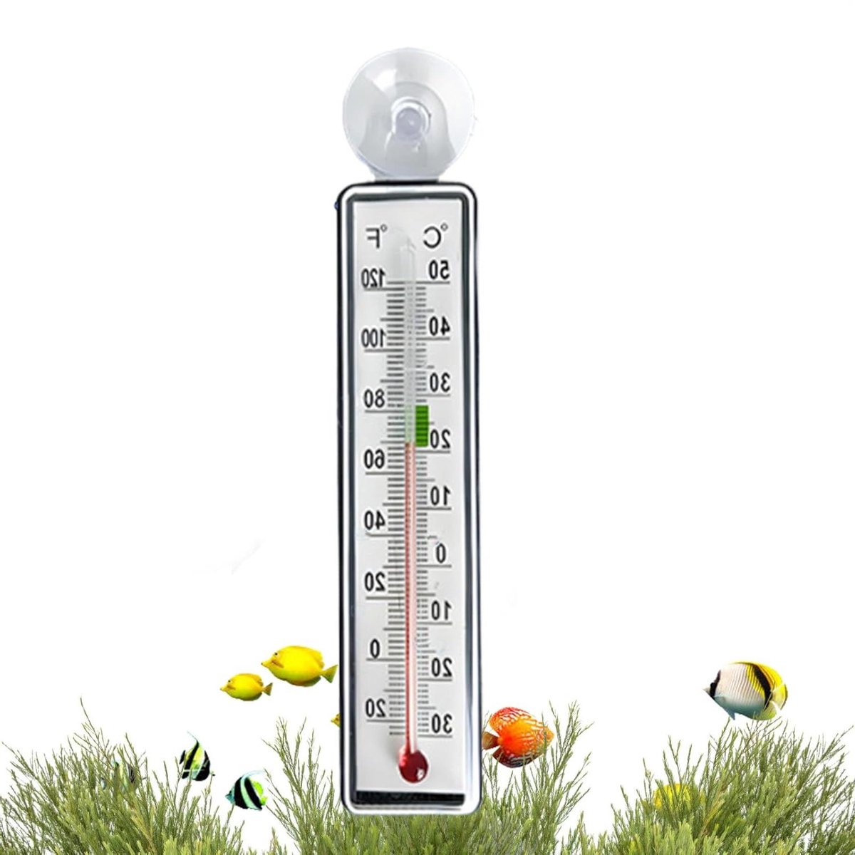 Aquariumthermometer - Temperatuursensor Bakken - Klimaatbeheersing Water - Schokbestendig Materiaal - 12 x 3 cm - Niet gespecificeerd