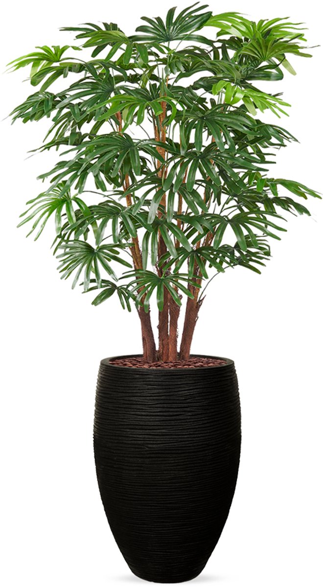 HTT Decorations Kunstplant Fortuneipalm in Vaas elegant Deluxe rib zwart H150 cm