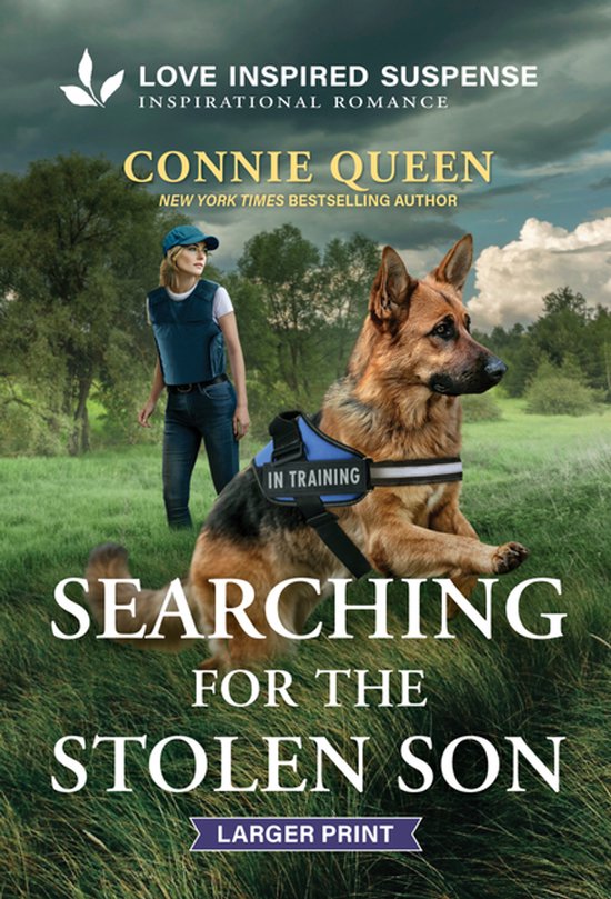 Thunder Ridge Justice- Searching for the Stolen Son - cover