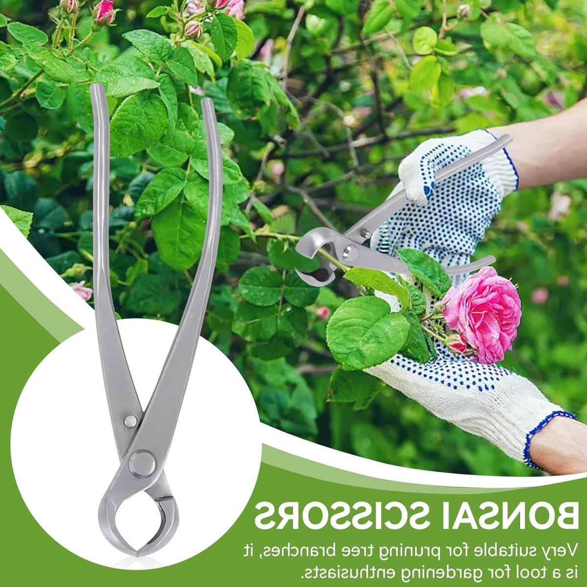 Concave Takkenknipper voor Bonsai, Professionele Snoeischaren, Bonsai Gereedschap, Tuinaccessoires en Snijtools voor Precisiewerk