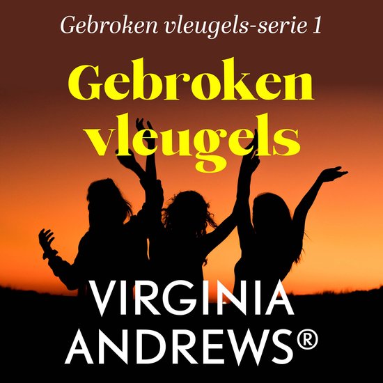 Gebroken vleugels - cover