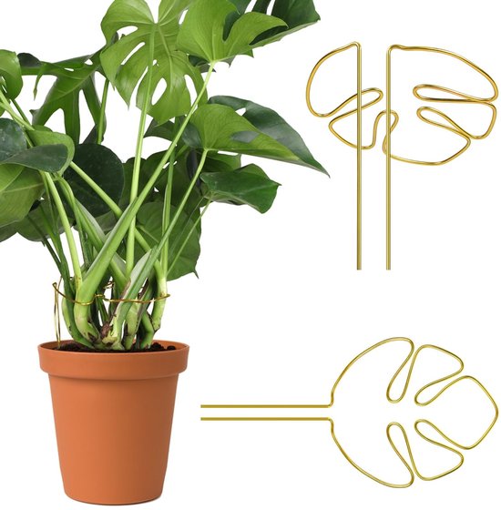Plantensteunen - Unieke Monstera-vormige ring - Plantensteunpalen voor buiten en kamerplanten (goud)