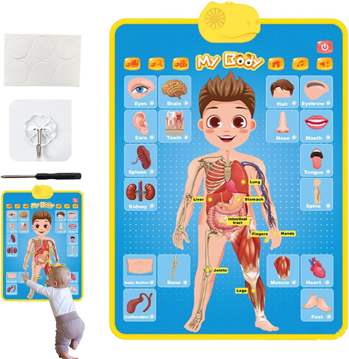 Interactief Leerbord - Educatief Bord - Vroeg Leren - Zintuiglijke Ervaring - 41 x 55.5 cm