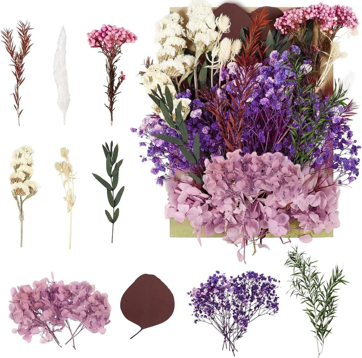 Gedroogde Bloemen voor Creatieve Projecten - Geperste Bloemen voor DIY Kunst, Hars, Scrapbooking en Sieraden Maken in Paars