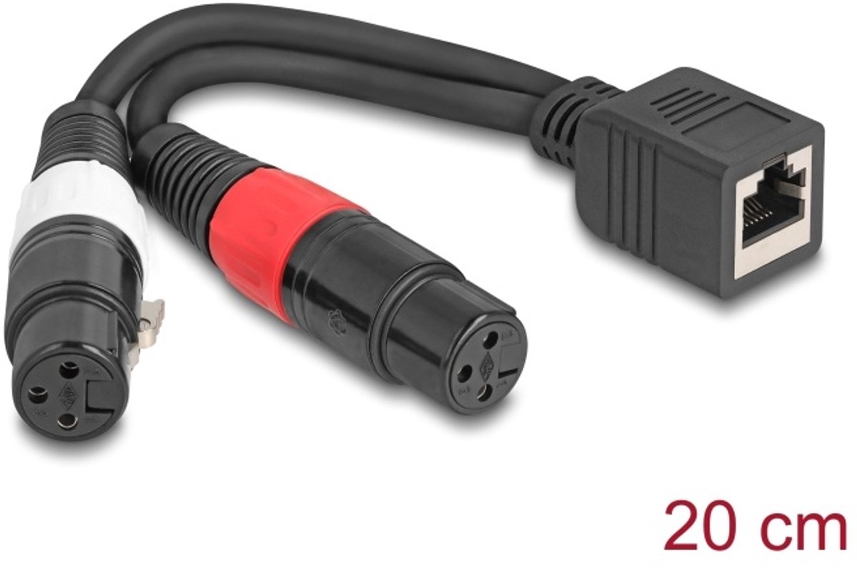 DeLOCK 88178 audio kabel 0,2 m RJ-45 2 x XLR (3-pin) Zwart