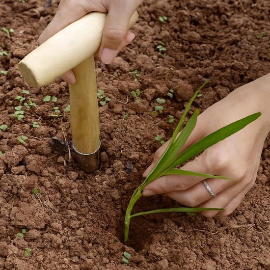 Bloembollen plantgereedschap - Tuingereedschap bloembollen uien - Planten in de tuin - Scherpe puntige ontwerp — afbeelding 5
