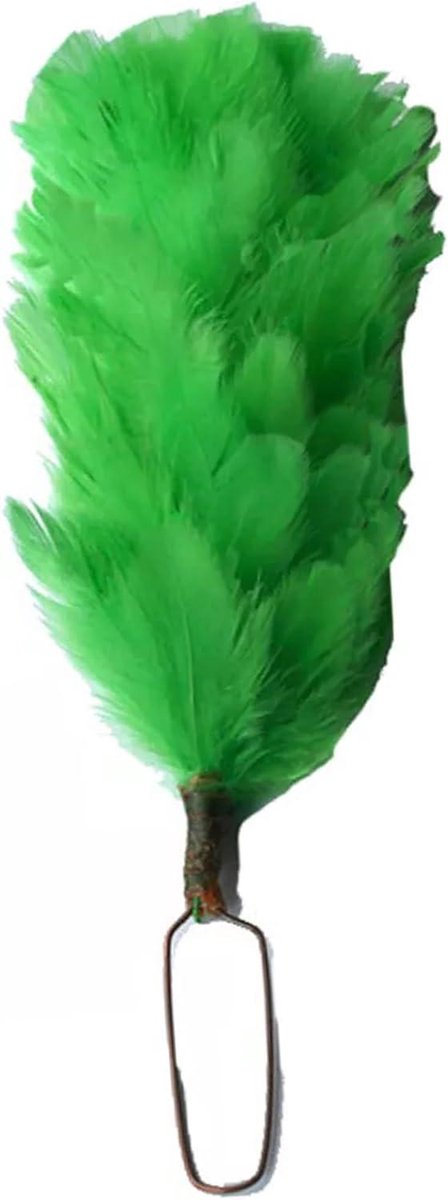 Hoed Pluim - Veer Hackle - Traditionele Kleding - Met Metalen Lus - 15 cm - Groen
