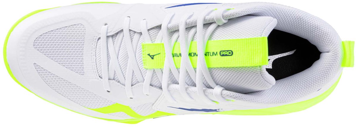 Mizuno Volleybalscheenen Shoe Wave Momentum Pro Mid - Sportswear - Volwassen