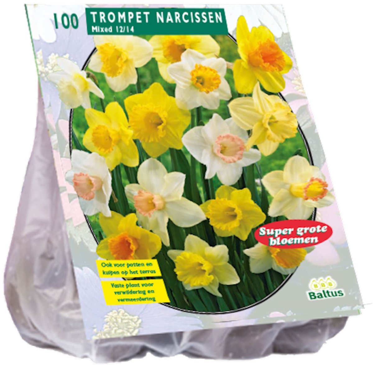 Narcissenbol - Trompet - Mix - 100 stuks in net - voordeelverpakking