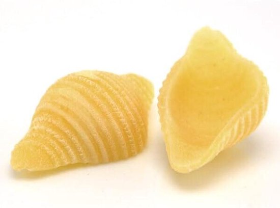 Pastamaker Matrijs - Grote Schelp - Pasta Maken - Speciaal Ontwerp - Grote Maat - Wit — afbeelding 2
