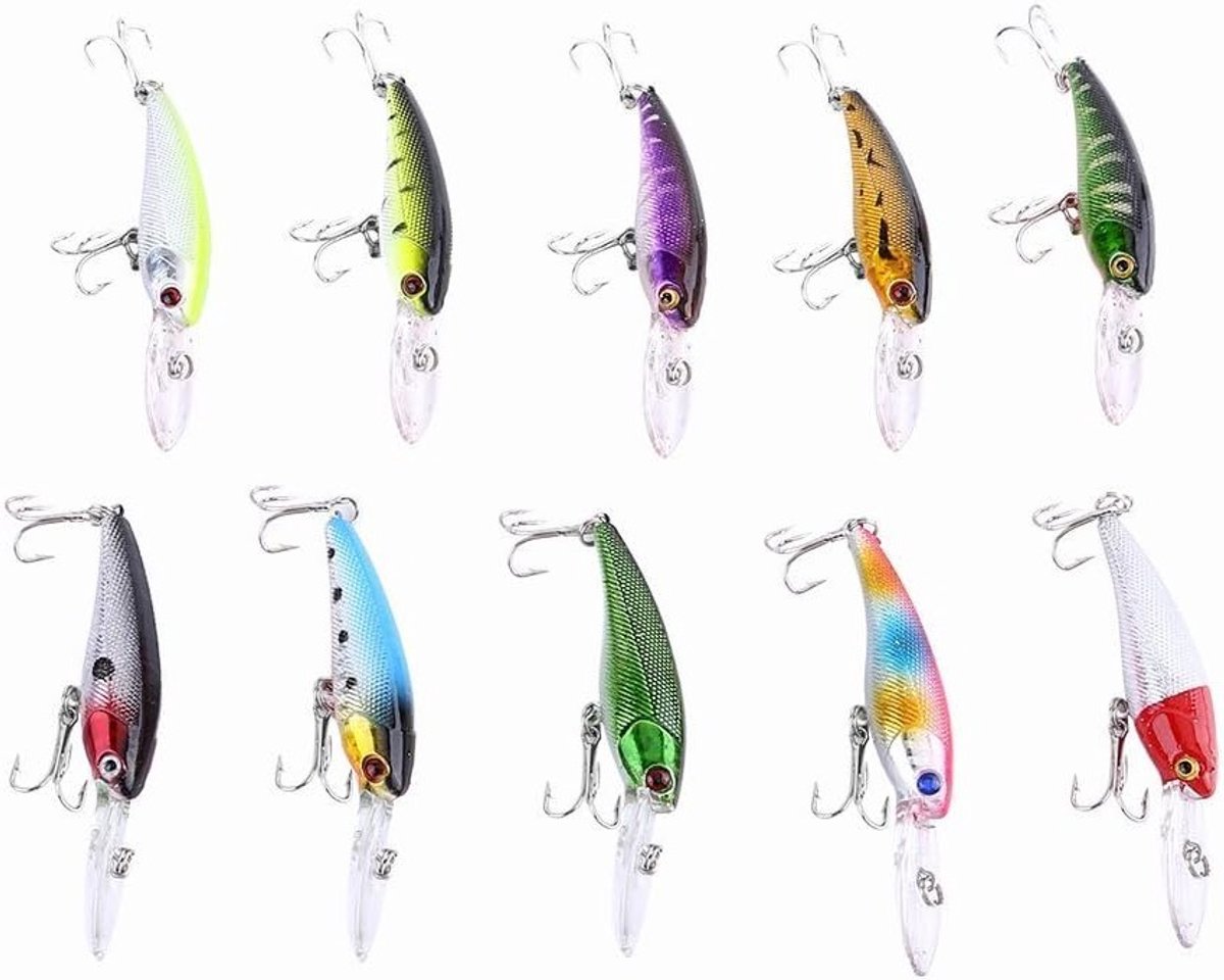 Set van 10 verschillende vislures, metalen crankbaits en Cyprinida haken voor succesvol vissen