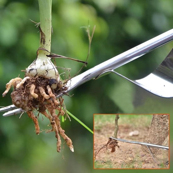 Onkruidtrekker Tuin - Onkruidverwijderaar Handgereedschap - Onkruid Wieden - Roestvrij Staal Vork - 200 Gram - Niet gespecificeerd — afbeelding 2