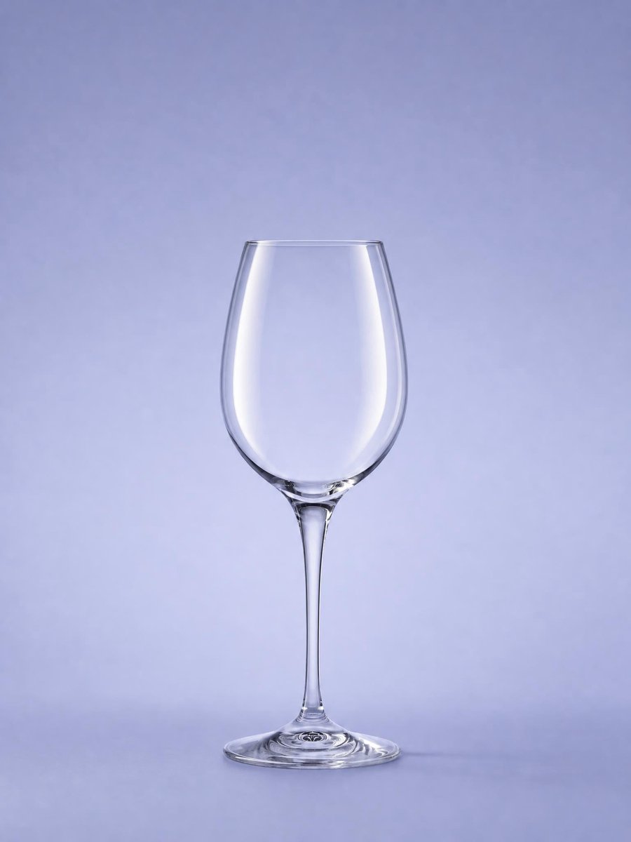 RCR Invino Wijnglas 45 Cl - 6 Stuks