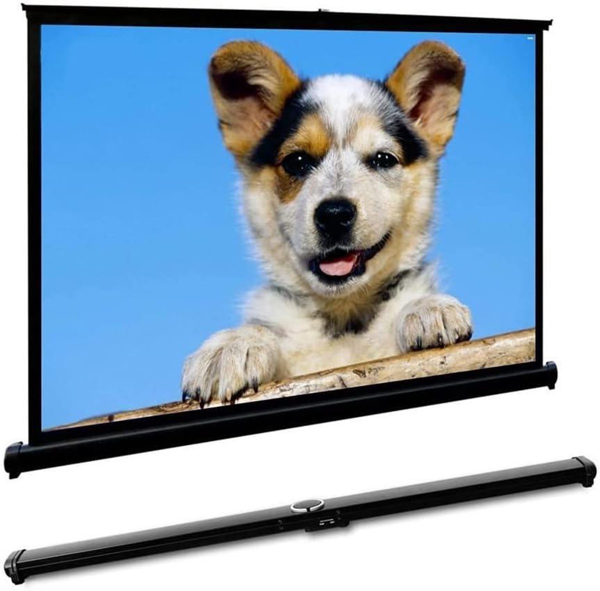 Tafelblad Projectiescherm - Draagbaar Filmscherm - Thuisbioscoop Creëren - Zelfdragend Uittrekbaar - 50 inch 16:9 - Wit