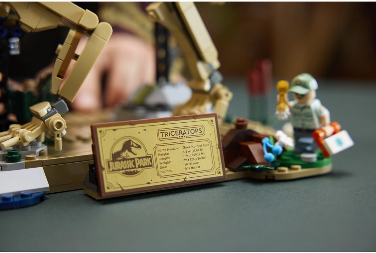 LEGO® Jurassic World Dinosaurusfossielen: Triceratops 77985 — afbeelding 14