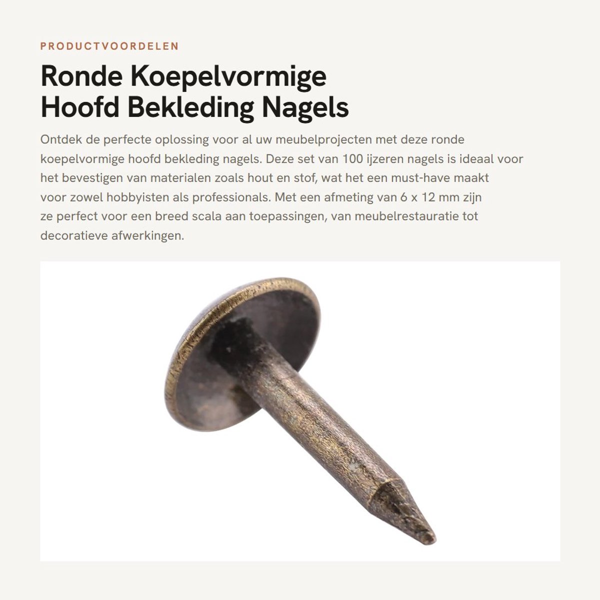 Dailygoods- Nagels Set van 100 - Ronde Koepelvormige Bevestigingsmiddelen - Dikker IJzeren Nagels - Stevig en Duurzaam - Afmetingen 6x12mm - Nietjes