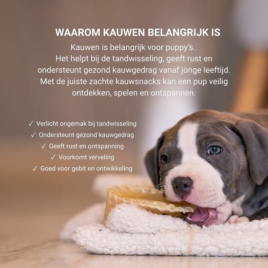 Close-up van een puppy die op een grote, gele hondensnack kauwt. Tekst over waarom kauwen belangrijk is voor puppy's.
