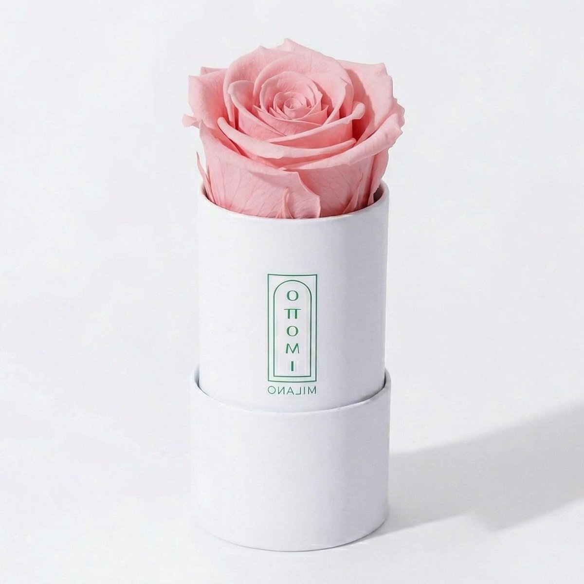 Gestabiliseerde Roos - Duurzame Bloem - Cadeau Idee - Handgemaakt - 100g - Roze