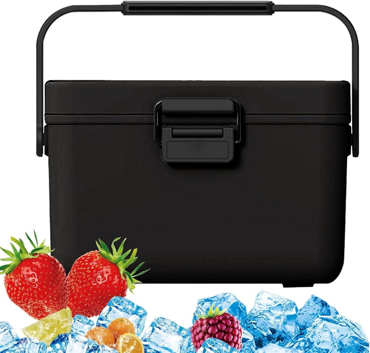 Compacte koelkast - Draagbare vriezer - Reizen en kamperen - Houdt tot 48 uur koel - 3.8 Liter inhoud - Zwart