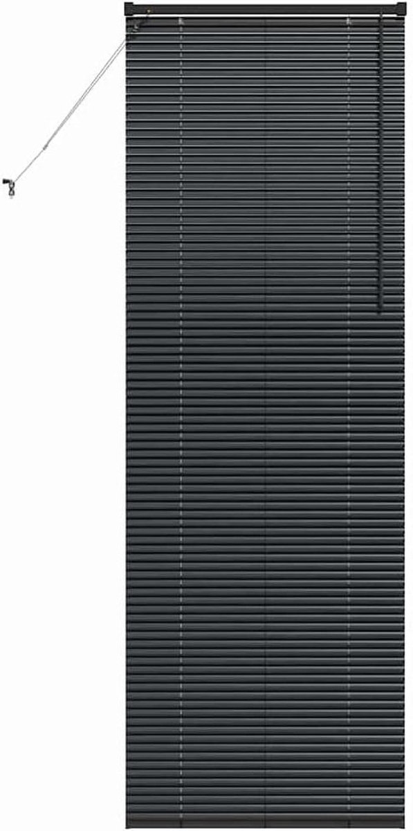 Vensterjaloezieën - Raambekleding - Lichtregeling - Horizontale lamellen - 70 x 220 cm - Z