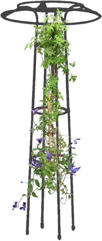 Plantenstandaard Klimrek - Klimplantsteun Tuin - Planten Ondersteunen - Paraplu Structuur - 145 cm - Meerkleurig