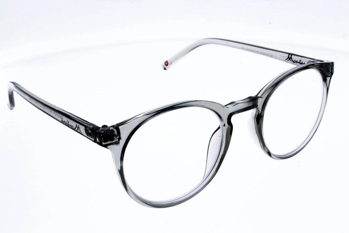 Moderne Leeshulp - Transparante Bril - Lezen en Zien - Trendy Panto Design - 48 mm Lens - Grijs