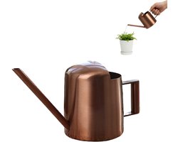 Mini Gieter met Lange Tuit voor Planten - 300 ml Roestvrij Staal Tuingieter