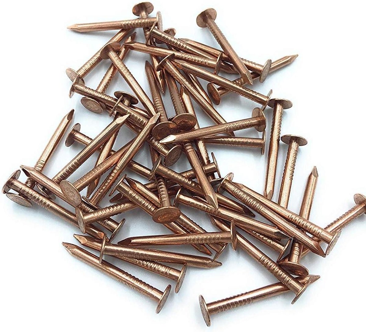 Koperen Daknagels - Bevestigingsnagels - Dakbedekking Fixeren - Corrosiebestendig Materiaal - 50 stuks 1 inch - Koper