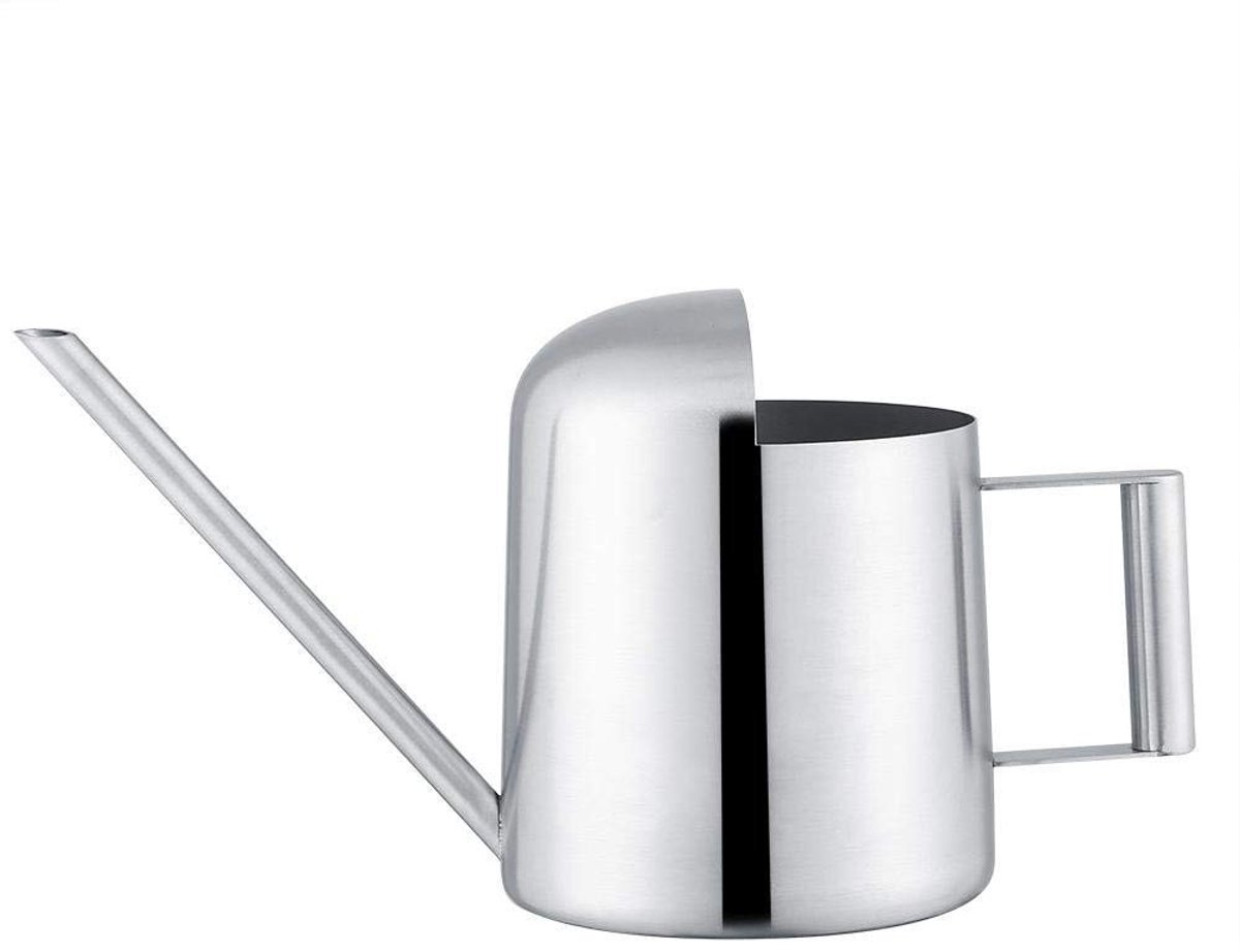 Dailygoods - Dailygoody - Roestvrijstalen Gieter - Planten Water geven - Elegant ontwerp - Zilver - Duurzaam materiaal - Geschikt voor binnen en buiten - 300 ml