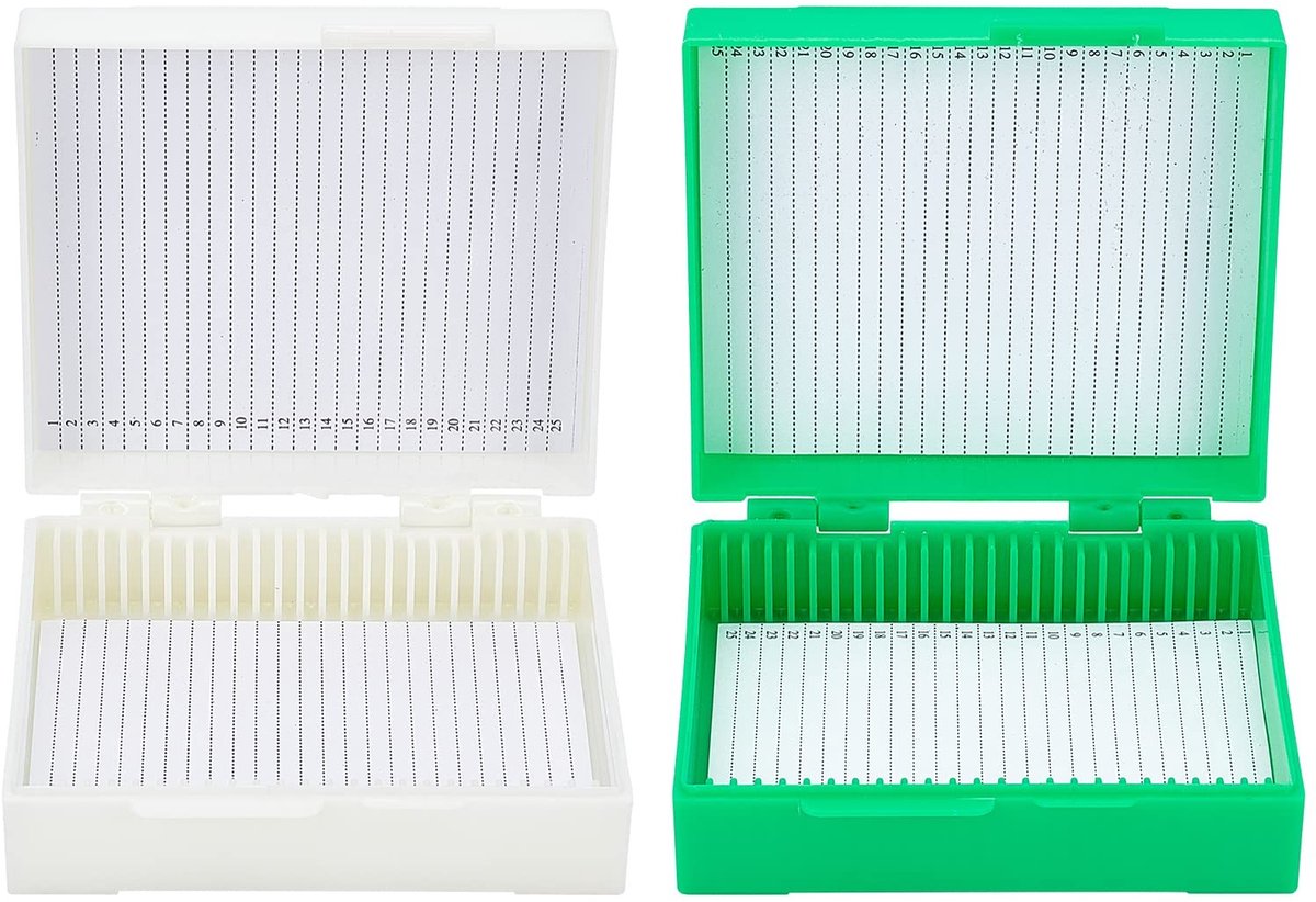 Dailygoods - Dailygoody - Microscoop-objectglaasjes - 2 stuks - Voordelige opbergdoos - Beige-lentegroen - Voor laboratorium - Geschikt voor knutselen - 25 plaatse