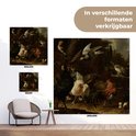 Product afbeelding  11