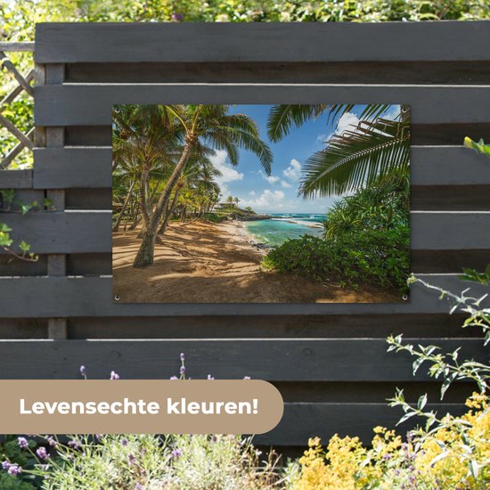 Affiche exotique Kuau Cove Beach située sur Hawaii Garden 120x80 cm - Toile de jardin / Toile d'extérieur / Peintures pour l'extérieur (décoration de jardin)