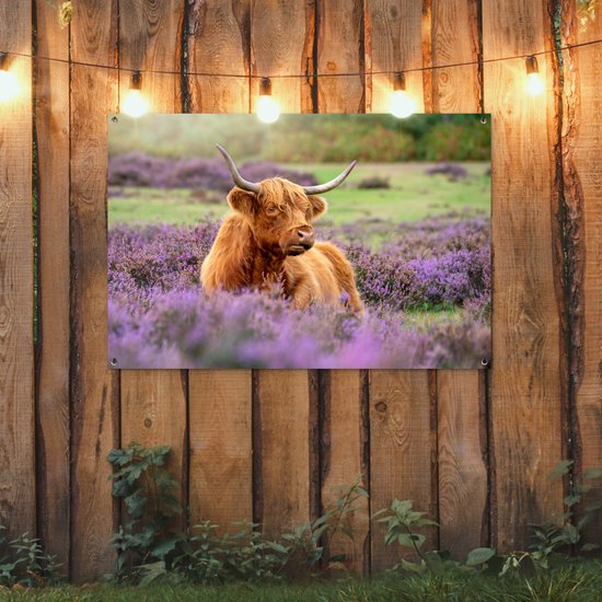 Un montagnard écossais se trouve parmi les fleurs violettes.Affiche de jardin 120x80 cm - Toile de jardin / Toile d'extérieur / Peintures d'extérieur (décoration de jardin)