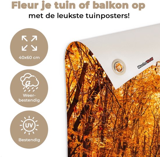 Affiche de jardin - Automne - Forêt - Feuilles - Oranje - 40x60 cm - Décoration de jardin - Toile jardin