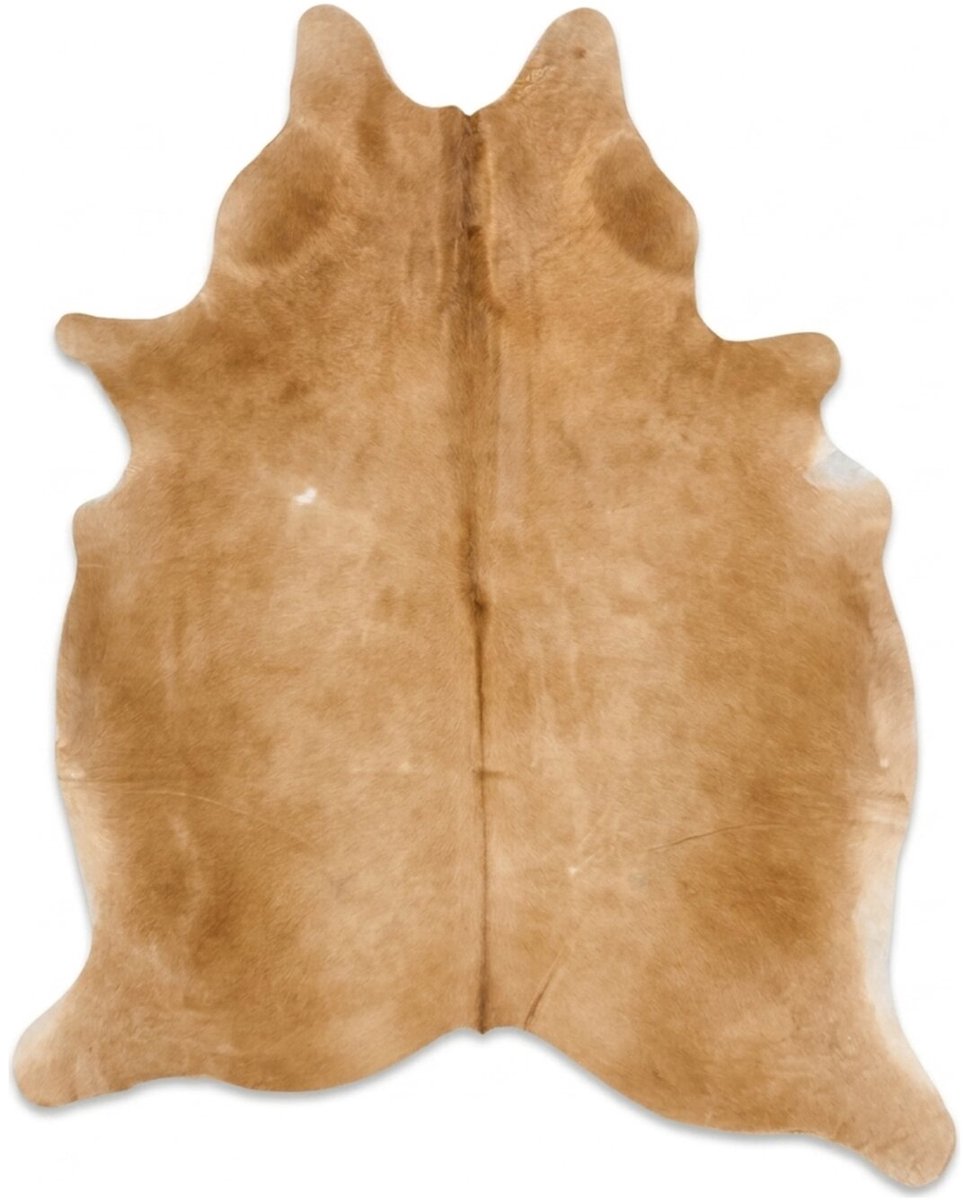 Koeienhuid Vloerkleed - Bruin - 260 x 240 cm - Koeienkleed / Koeienvel / Dierenvel / Dierenhuid / Koehuid Tapijt - incl. 4 onderzetters