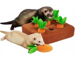 Speelgoed voor fretten om voedsel uit te zoeken, een originele mat om aan wortels te snuffelen, een interactieve snack voor huisdieren, educatief speelgoed geschikt voor kleine dieren zoals konijnen, chinchilla's, cavia's en hamsters (6 wortels)
