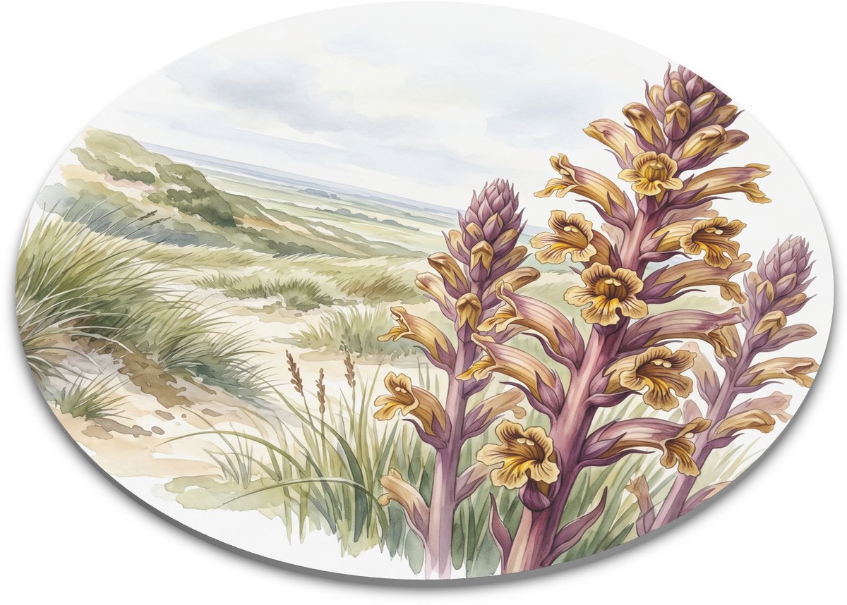 Ronde muismat walstrobremraap in Nederlands duinlandschap, botanische aquarel met paarse bloemaren, zandduinen en kustgras voor bureau, thuiswerkplek of natuurliefhebber, 22x22 cm