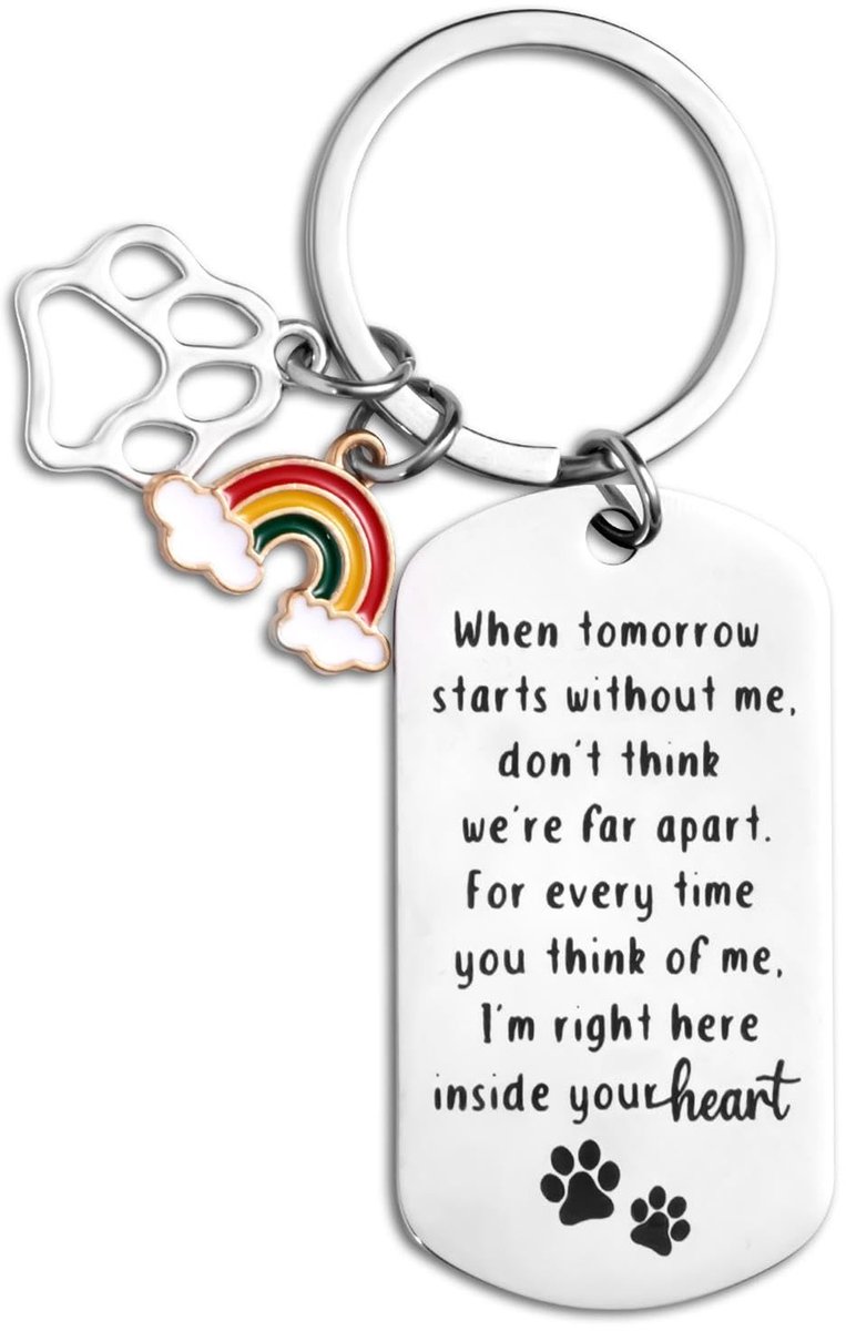 JHUBERS- Herdenkingssleutelhanger Zilver - Poot/Brug - Sympathie Geschenken - Honden/Kat - Roestvrij Staal - 5x2,7cm Label - Herdenkingsgift