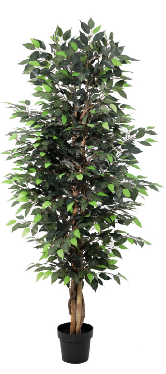 Trendyplants - Kunst Ficus Benjamina - Treurvijg - Kunstplant - Hoogte 180cm - Potmaat Ø20cm