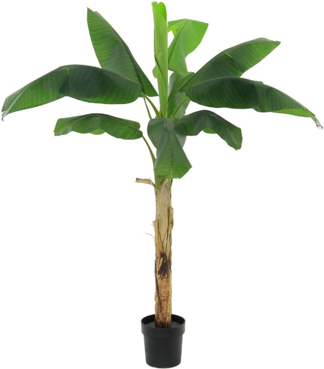Trendyplants - Kunst Bananenplant Musa - Bananenplant - Kunstplant - Hoogte 180cm - Potmaat Ø20cm