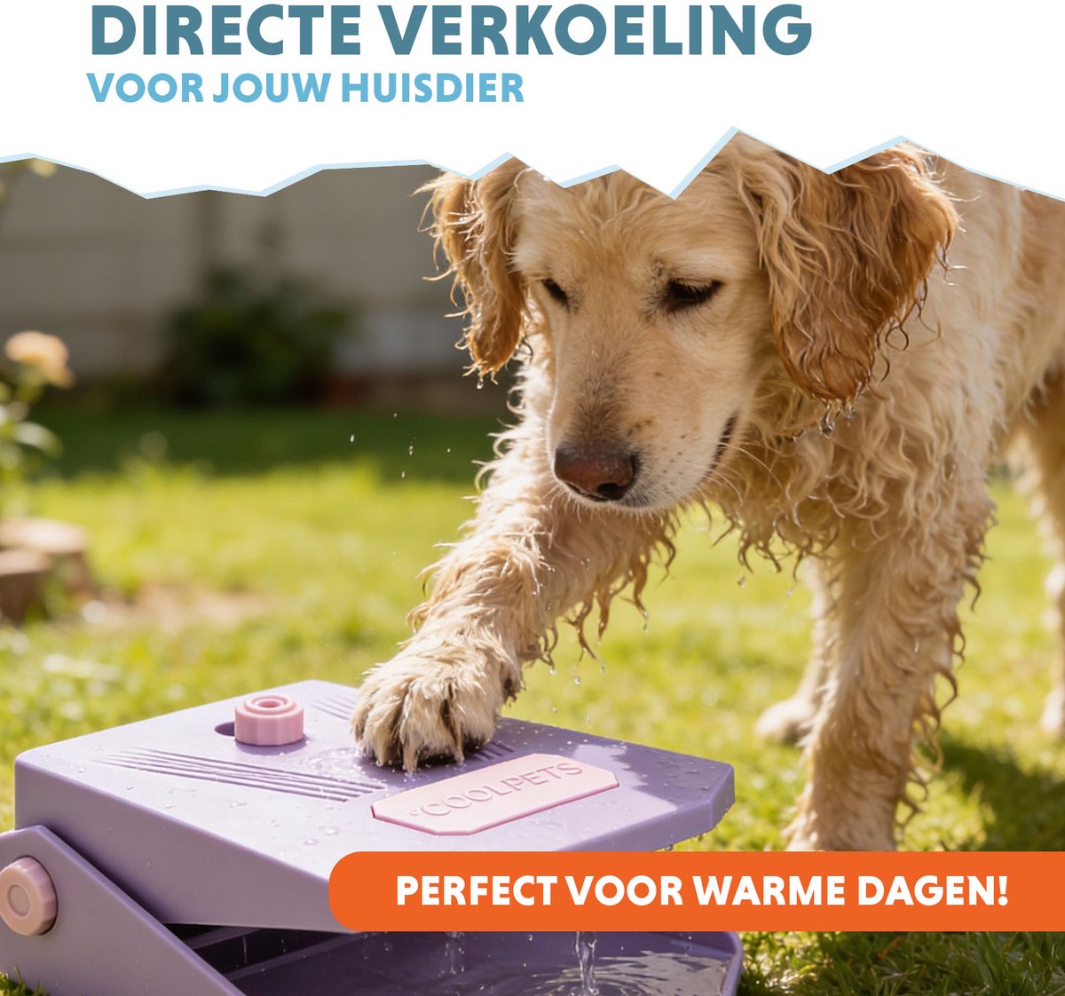 Hofman Animal Care CoolPets Waterfontein Hond Tuinslang - Lila thumbnail 2