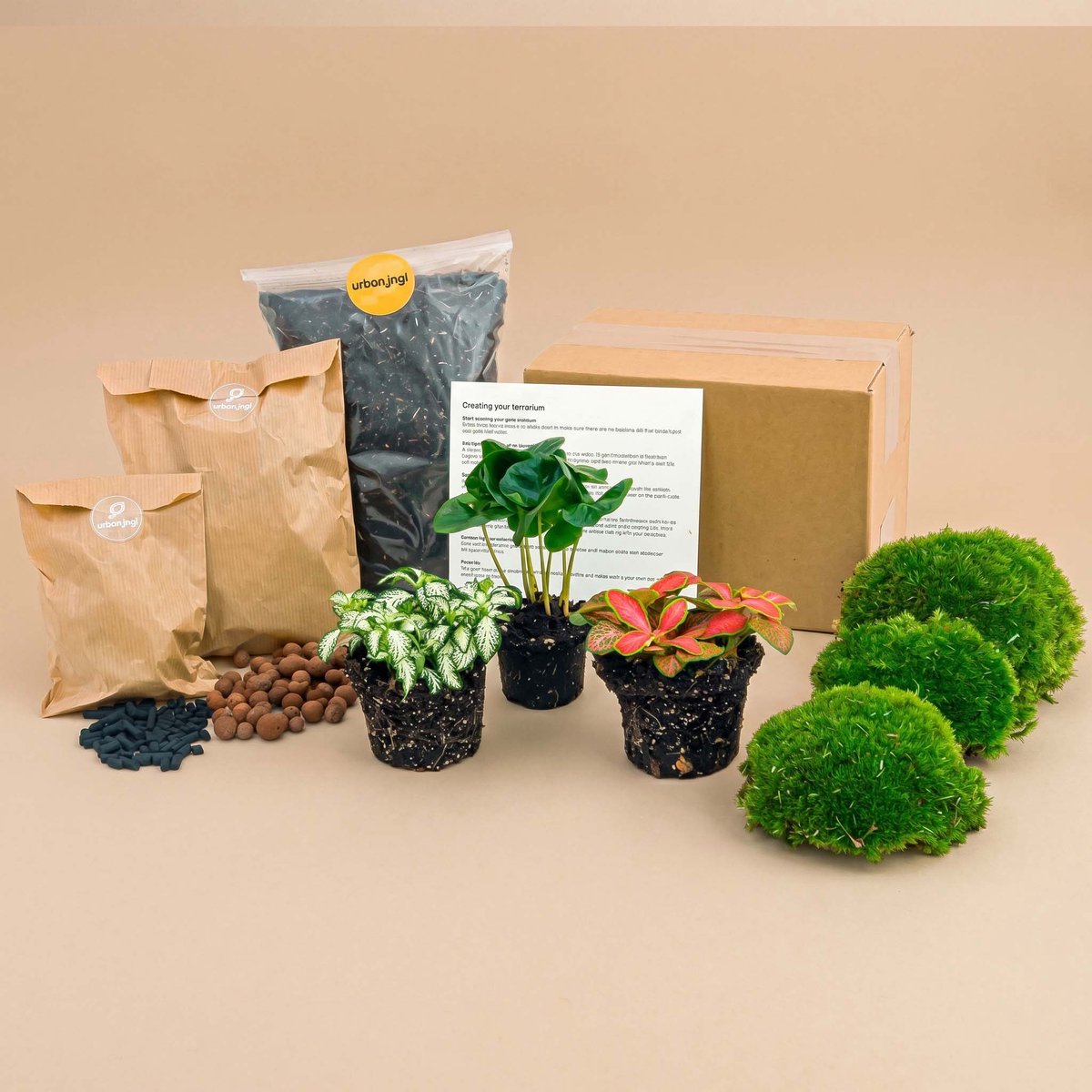 Bol.com Planten terrarium pakket - Coffea Arabica - 3 terrarium planten - Ecosysteem plant - Startpakket - Navulling - DIY Ecosy... aanbieding