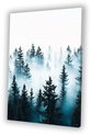 Minimalisme, Mist, Wit, blauw, groen, zwart, grijs, Bos
