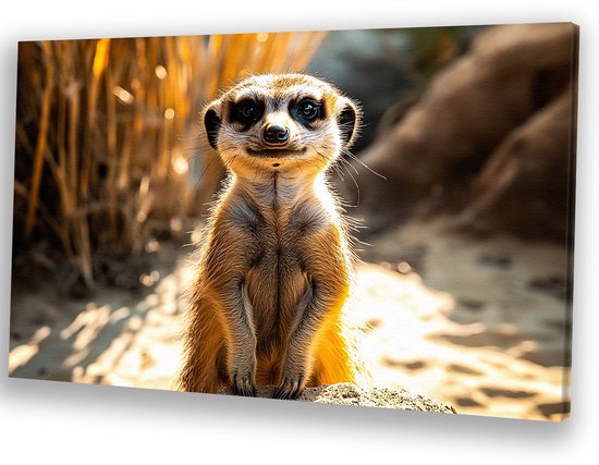 Schattige meerkat in zonlicht - Meerkat canvas schilderij - Schilderijen dieren - Hyperrealisme - Schilderij vintage - Woonaccessoires - canvas 90x60 cm