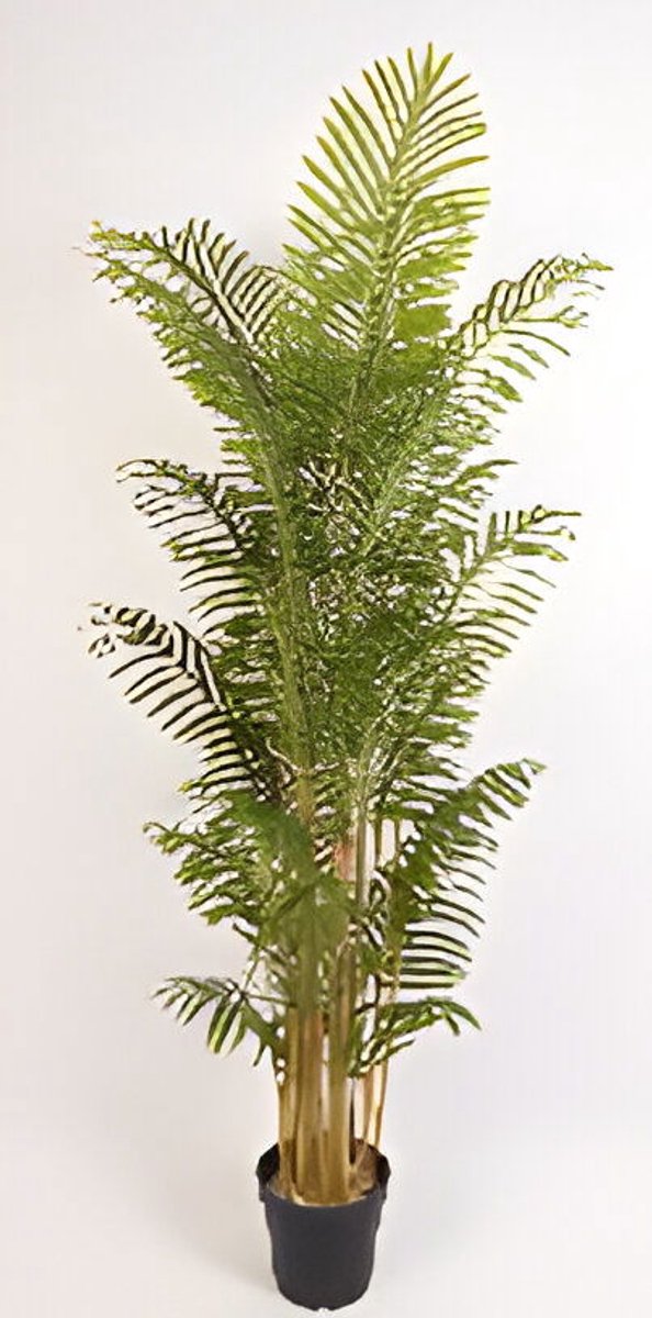 Oosterik home - Bamboo palm 180 cm kunstplant Oosterik Home