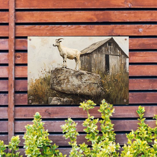Chèvre sur rocher près de la grange - Impressions de jardin de chèvres - Tableaux de jardin animalières - Réalisme - Décoration pour murs extérieurs - Décoration design de jardin - Affiche de jardin 60x40 cm