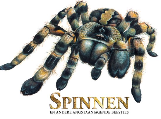 Spinnen en andere angstaanjagende beestjes - cover
