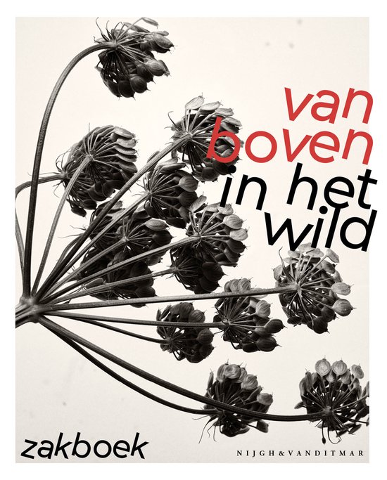 Van boven in het wild