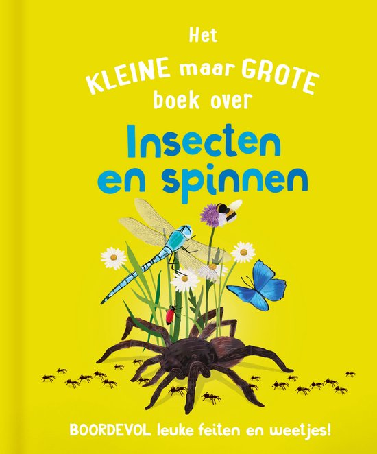 Het kleine maar grote boek over insecten en spinnen - cover